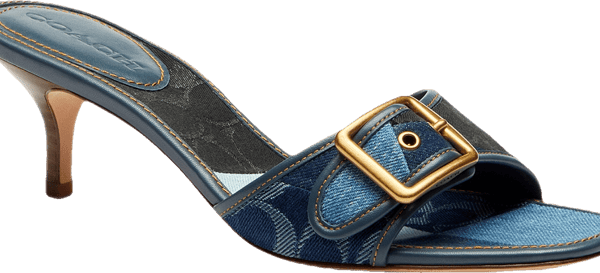 COACH Women's Margot Slip-On Kitten Heel Sandals