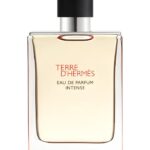 HERMÈS Men's Terre d'Hermès Eau de Parfum Intense